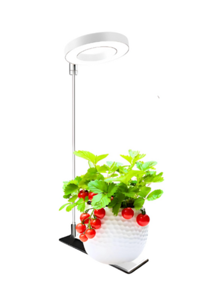 Grow Glow™ Smart Grow Light – Full Spectrum + Auto Timer